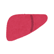 肝臓の図です